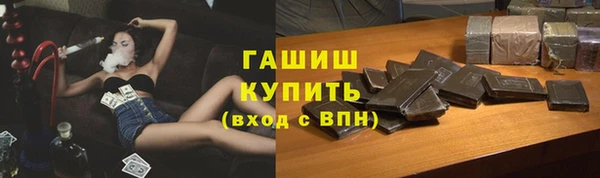 стаф Алзамай