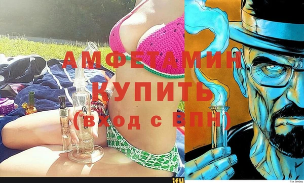стаф Алзамай