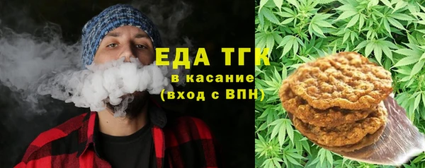 стаф Алзамай